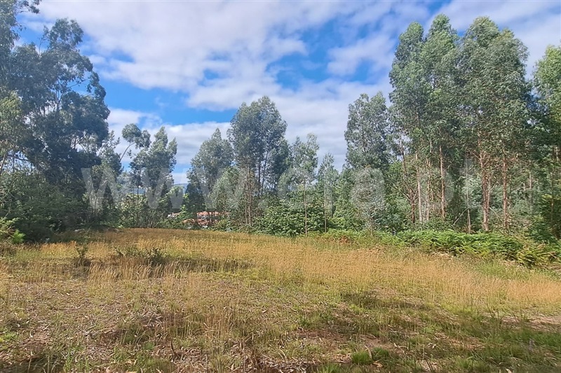 Terreno para Construção  Ponte de Lima, Arca - 1352069 - 3