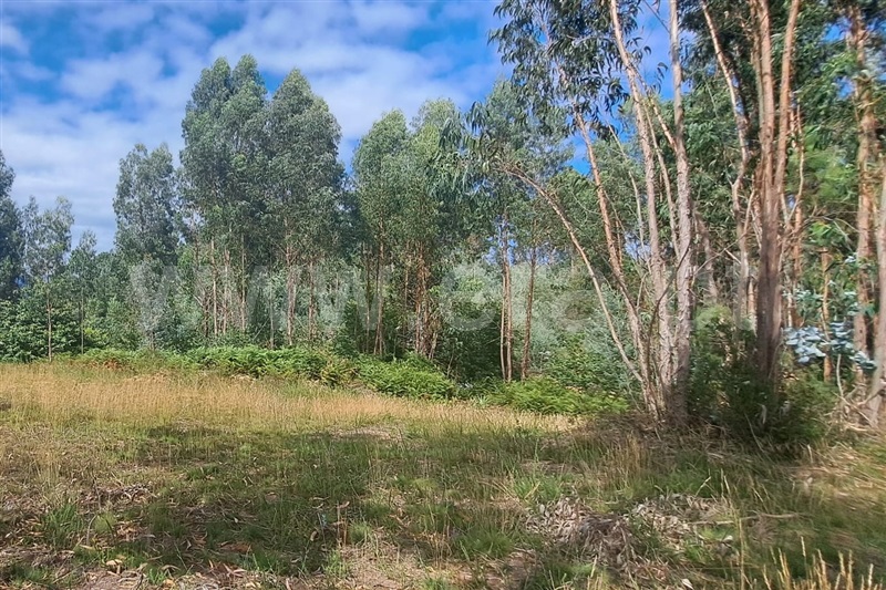 Terreno para Construção  Ponte de Lima, Arca - 1352069 - 5