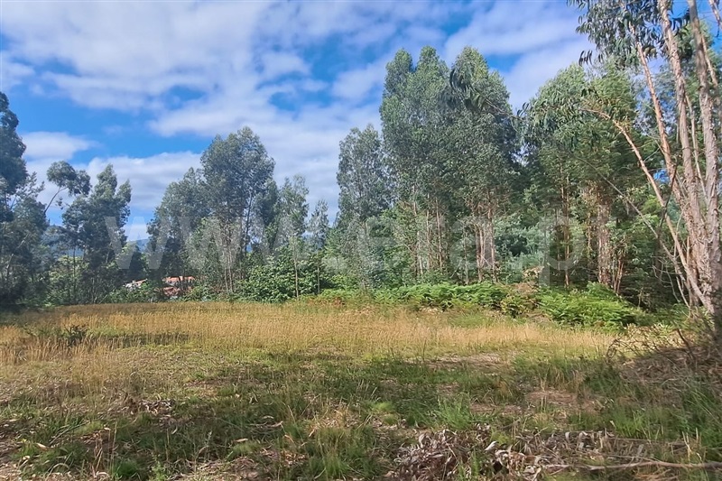 Terreno para Construção  Ponte de Lima, Arca - 1352069 - 8