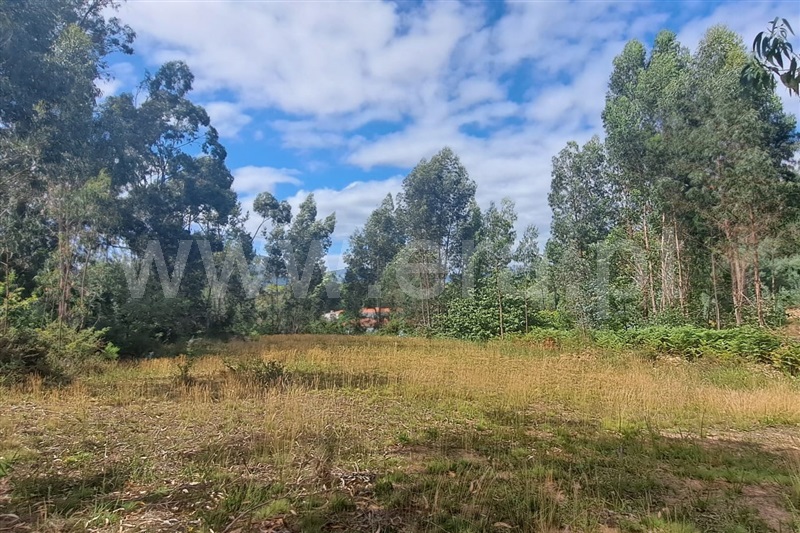 Terreno para Construção  Ponte de Lima, Arca - 1352069 - 9