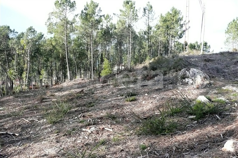 Terreno para Construção / Ponte de Lima, Arcozelo