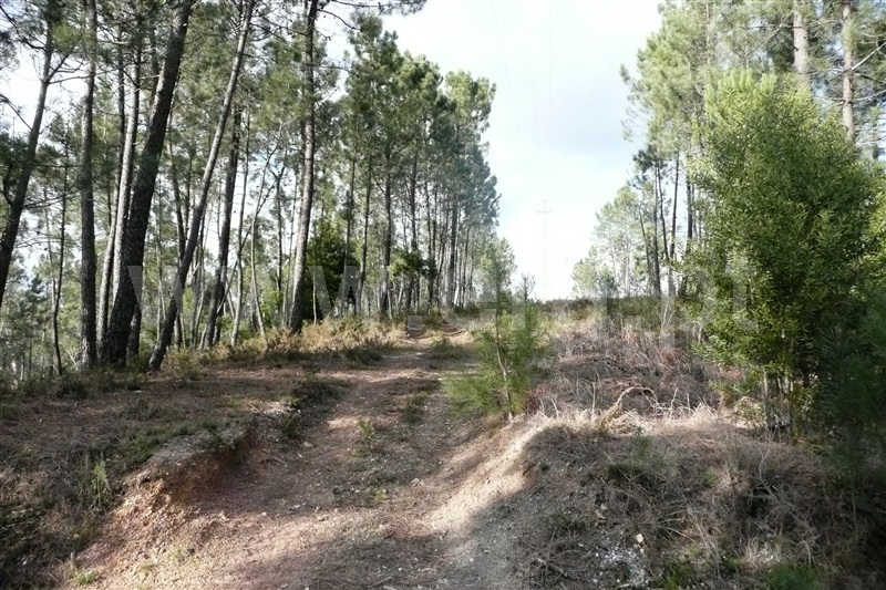 Terreno para Construção  Ponte de Lima, Arcozelo - 752060 - 4