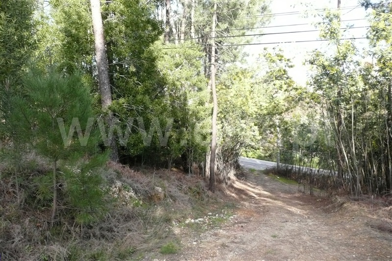 Terreno para Construção  Ponte de Lima, Arcozelo - 752060 - 5