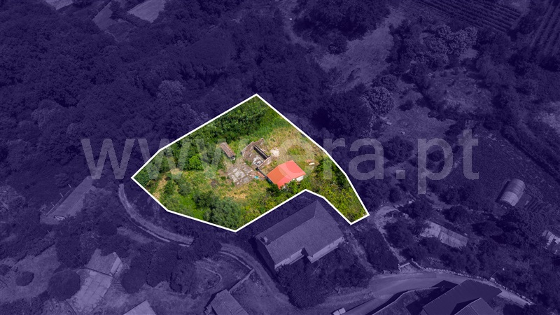 Terreno para Construção / Ponte de Lima, Ardegão, Freixo e Mato