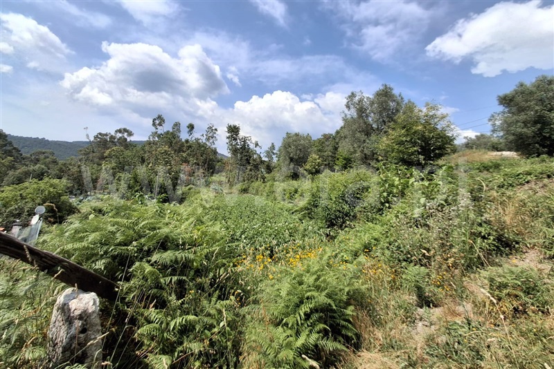 Terreno para Construção  Ponte de Lima, Barrio - 1511044 - 2