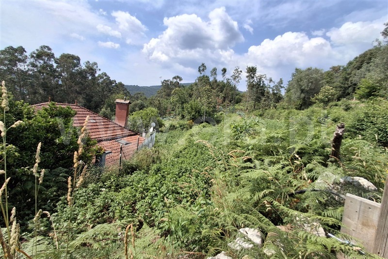 Terreno para Construção  Ponte de Lima, Barrio - 1511044 - 3