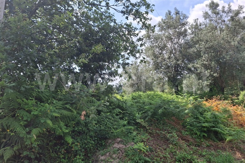 Terreno para Construção  Ponte de Lima, Barrio - 1511044 - 4