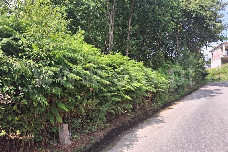 Terreno para Construção  Ponte de Lima, Barrio - 1511044 - 5