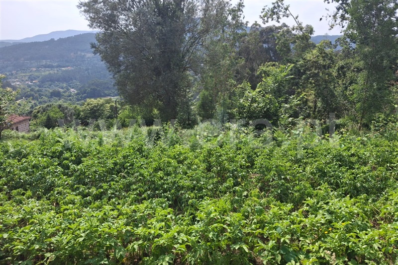 Terreno para Construção  Ponte de Lima, Barrio - 1511044 - 7