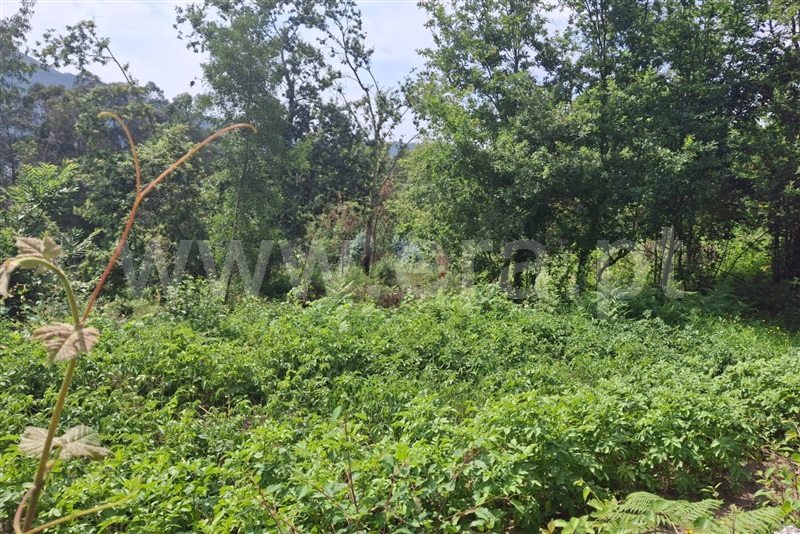 Terreno para Construção  Ponte de Lima, Barrio - 1511044 - 9