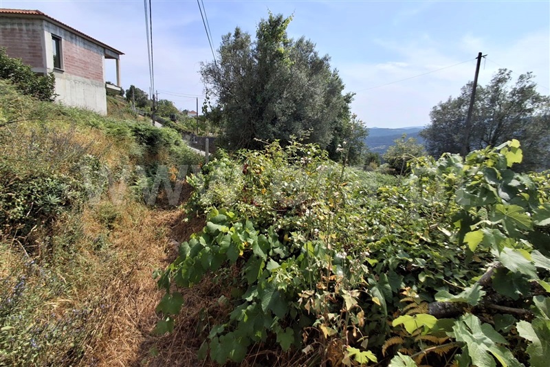 Terreno para Construção  Ponte de Lima, Barrio - 1511044 - 11