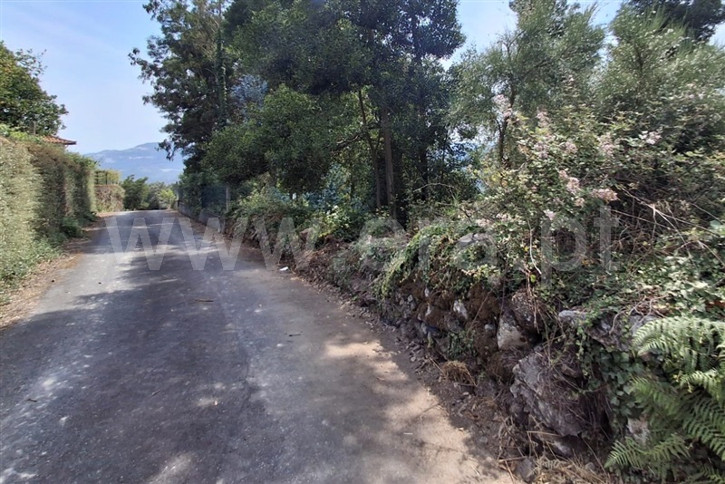 Terreno para Construção  Ponte de Lima, Barrio - 1511044 - 12