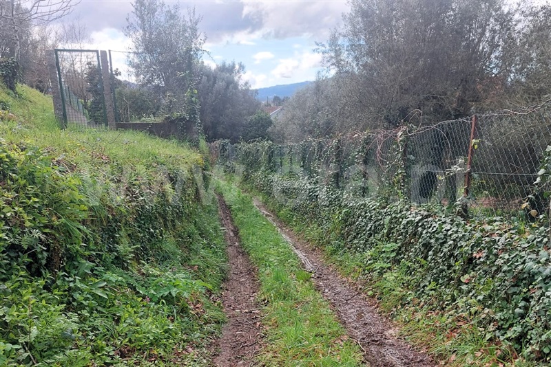 Terreno para Construção  Ponte de Lima, Brandara - 1469352 - 1