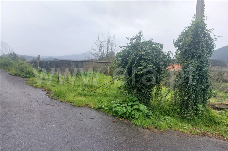 Terreno para Construção  Ponte de Lima, Brandara - 1469352 - 4