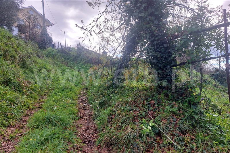 Terreno para Construção  Ponte de Lima, Brandara - 1469352 - 6
