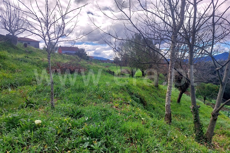 Terreno para Construção  Ponte de Lima, Brandara - 1469352 - 7
