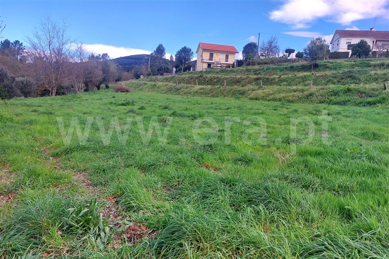 Terreno para Construção  Ponte de Lima, Brandara - 1469352 - 8