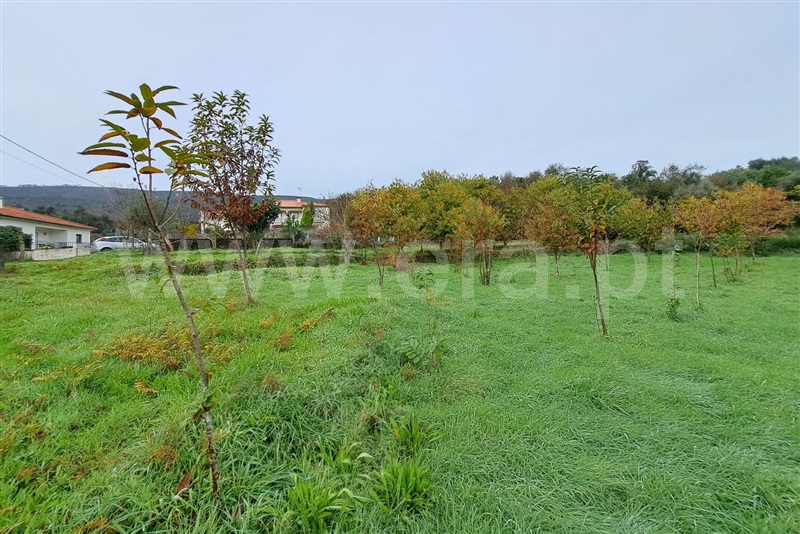 Terreno para Construção  Ponte de Lima, Cabração - 1372287 - 3
