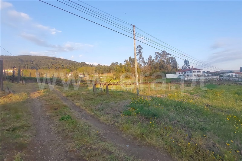 Terreno para Construção  Ponte de Lima, Calheiros - 1472688 - 2