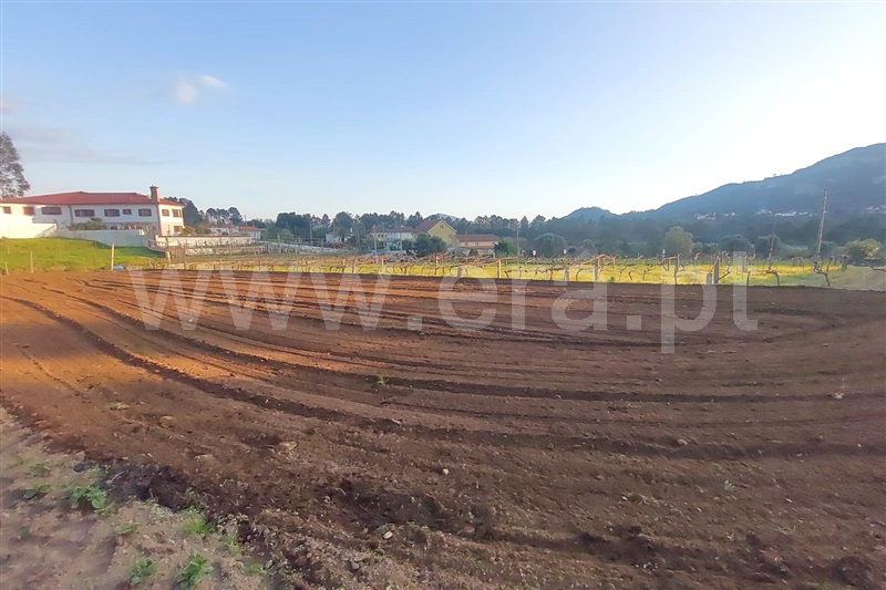 Terreno para Construção / Ponte de Lima, Calheiros