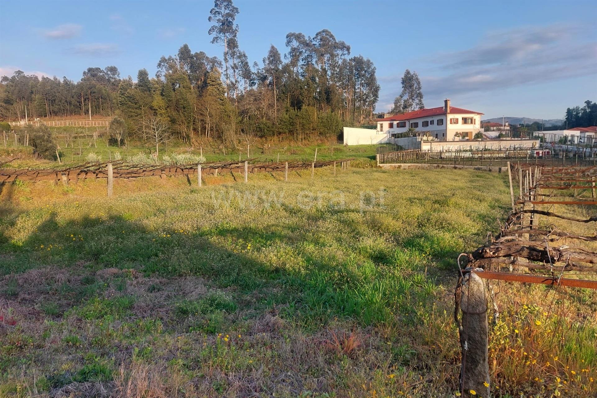 Land for sale in Ponte de Lima, Portugal — €130,000