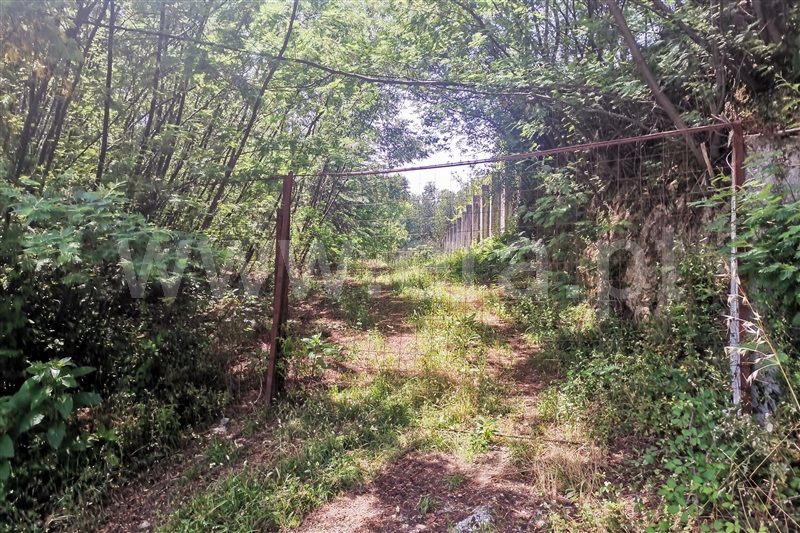 Terreno para Construção  Ponte de Lima, Calvelo - 1255316 - 3