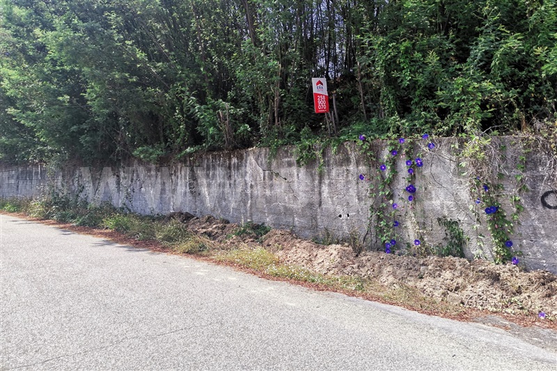 Terreno para Construção  Ponte de Lima, Calvelo - 1255316 - 5