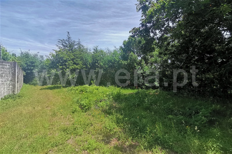 Terreno para Construção  Ponte de Lima, Calvelo - 1255316 - 6