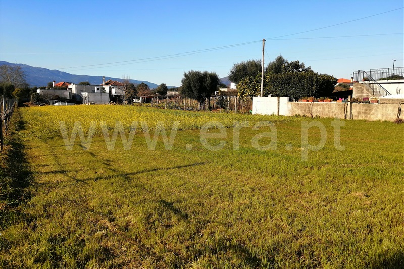 Terreno para Construção / Ponte de Lima, Correlhã