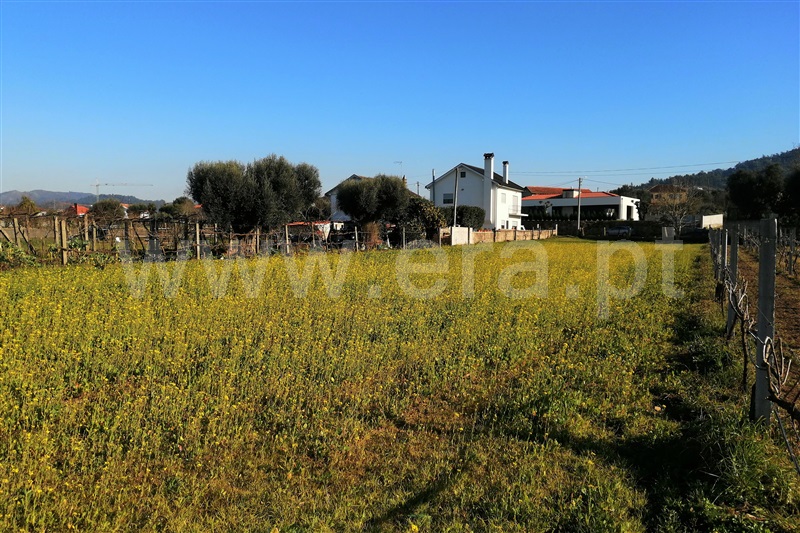 Terreno para Construção  Ponte de Lima, Correlhã - 1304079 - 7