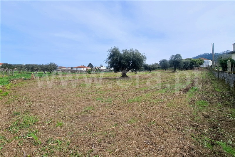 Terreno para Construção  Ponte de Lima, Correlhã - 1461516 - 3