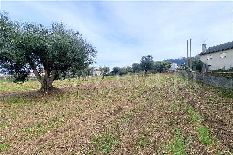 Terreno para Construção  Ponte de Lima, Correlhã - 1461516 - 4