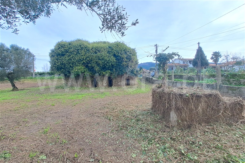 Terreno para Construção  Ponte de Lima, Correlhã - 1461516 - 5