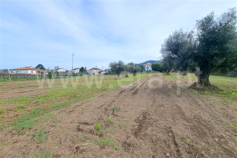 Terreno para Construção  Ponte de Lima, Correlhã - 1461516 - 6