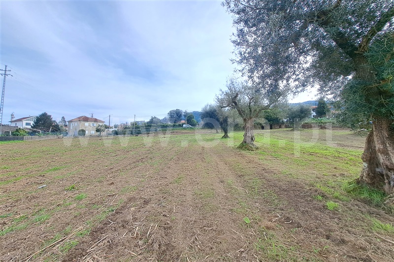 Terreno para Construção  Ponte de Lima, Correlhã - 1461516 - 7