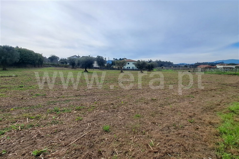 Terreno para Construção  Ponte de Lima, Correlhã - 1461516 - 8