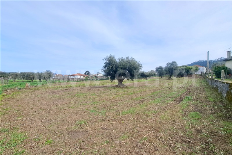 Terreno para Construção  Ponte de Lima, Correlhã - 1461516 - 9