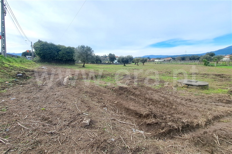 Terreno para Construção  Ponte de Lima, Correlhã - 1461516 - 12