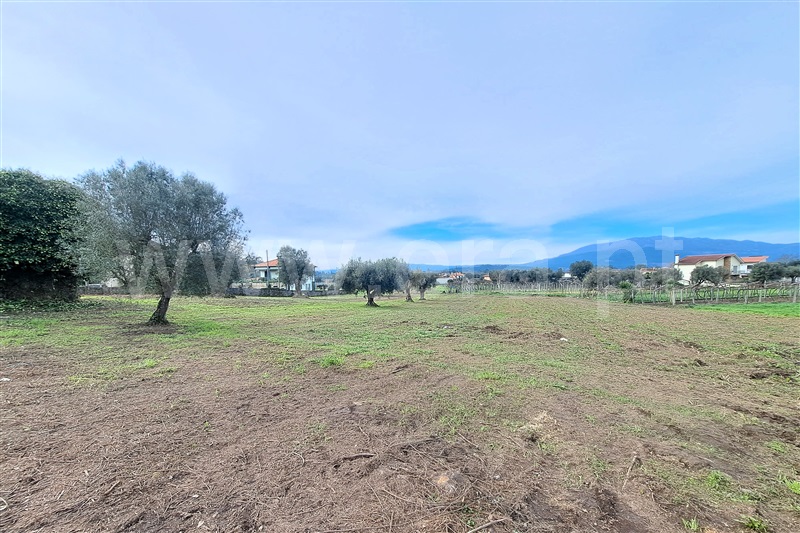 Terreno para Construção  Ponte de Lima, Correlhã - 1461516 - 13