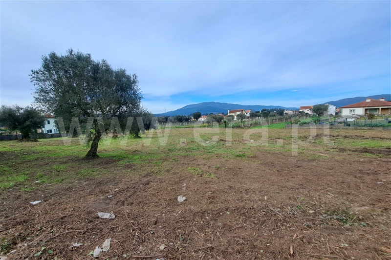 Terreno para Construção  Ponte de Lima, Correlhã - 1461516 - 14