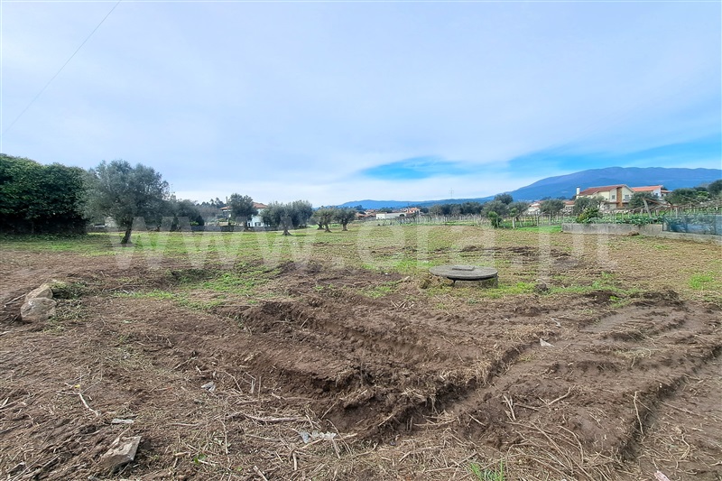 Terreno para Construção  Ponte de Lima, Correlhã - 1461516 - 15