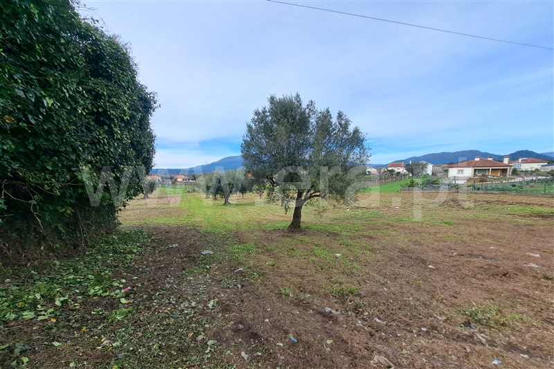 Terreno para Construção  Ponte de Lima, Correlhã - 1461516 - 16