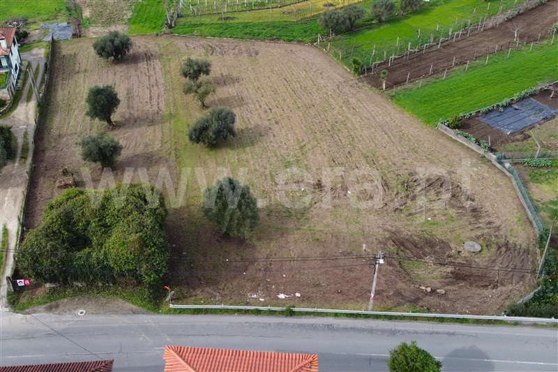 Terreno para Construção  Ponte de Lima, Correlhã - 1461516 - 18