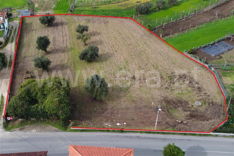 Terreno para Construção / Ponte de Lima, Correlhã