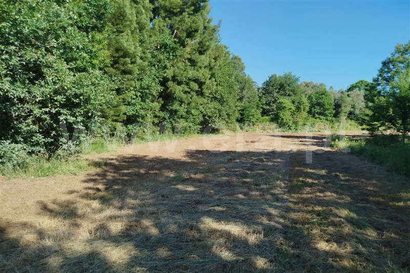 Terreno  Ponte de Lima, Estorãos - 1484309 - 1
