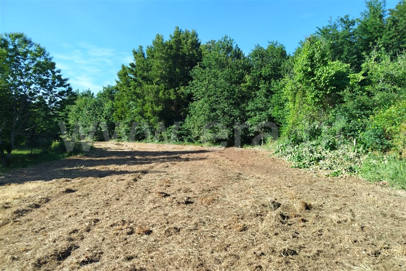 Terreno  Ponte de Lima, Estorãos - 1484309 - 4