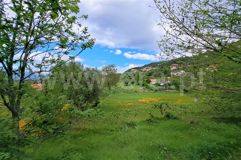Terreno  Ponte de Lima, Facha - 1325555 - 1