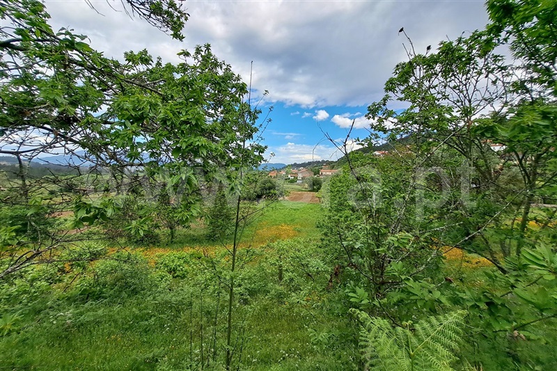 Terreno  Ponte de Lima, Facha - 1325555 - 2