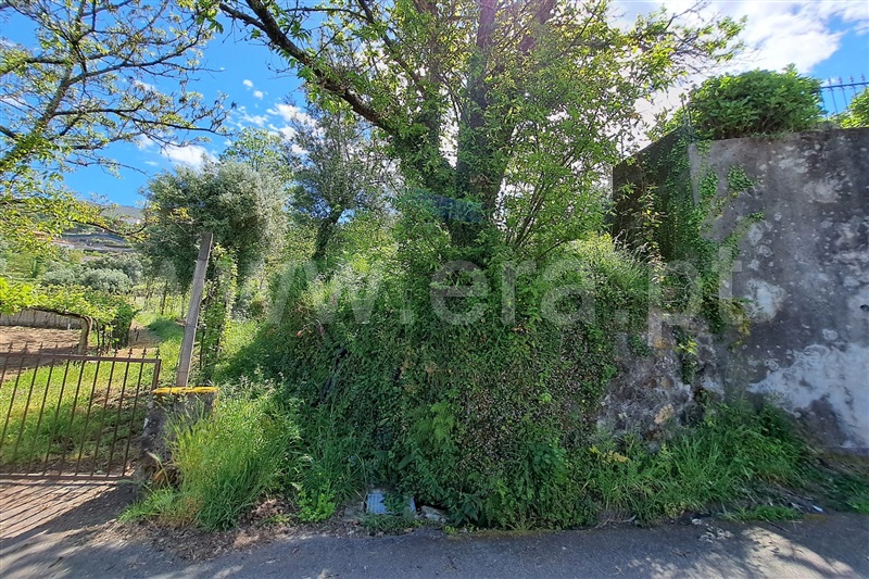 Terreno  Ponte de Lima, Facha - 1325555 - 8