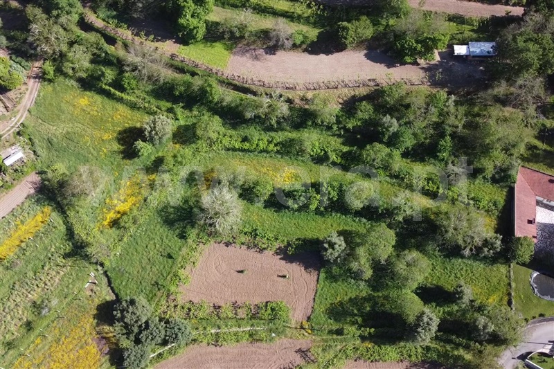 Terreno para Construção  Ponte de Lima, Facha - 1325555 - 17